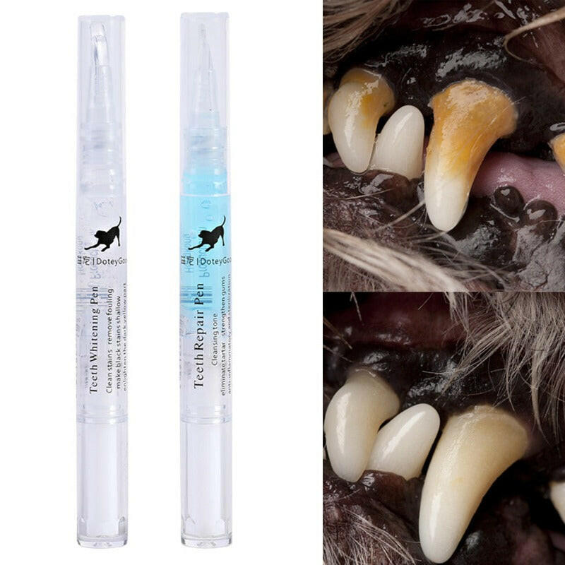 Pet Teeth Repairing Kit For Dog Cat Teeth Cleaning Pen Kit on H&K Trendy Treasures