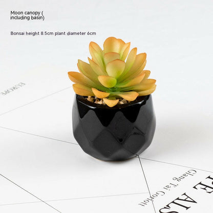 Artificial Stimulated Succulent Pot at H&K Trendy Treasures