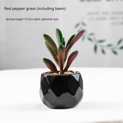 Artificial Stimulated Succulent Pot at H&K Trendy Treasures