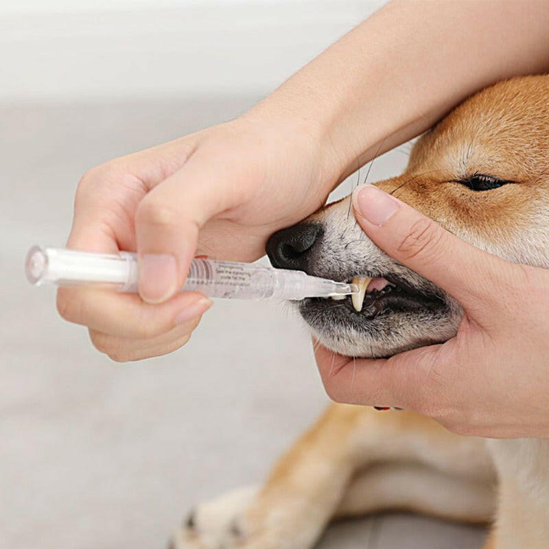 Pet Teeth Repairing Kit For Dog Cat Teeth Cleaning Pen Kit on H&K Trendy Treasures