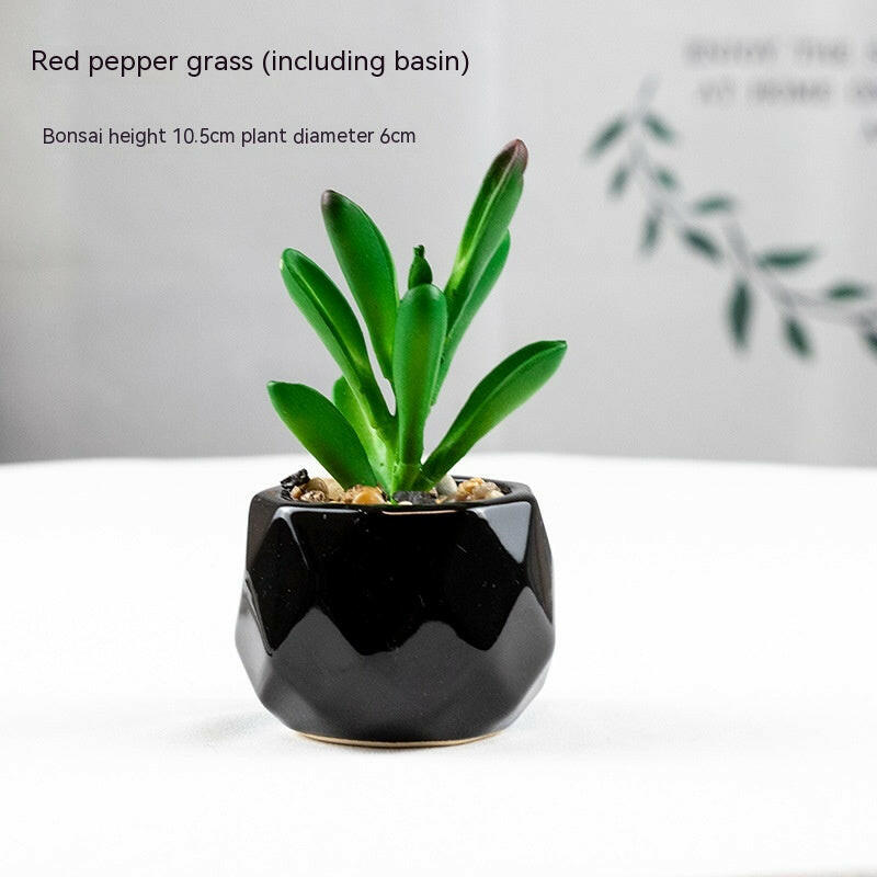 Artificial Stimulated Succulent Pot at H&K Trendy Treasures