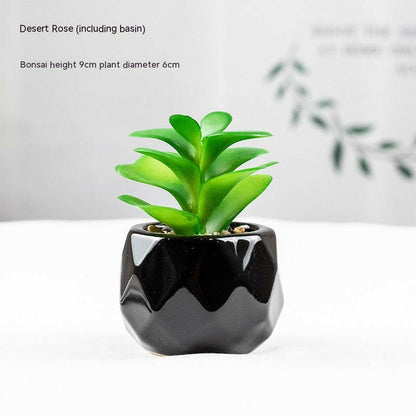 Artificial Stimulated Succulent Pot at H&K Trendy Treasures