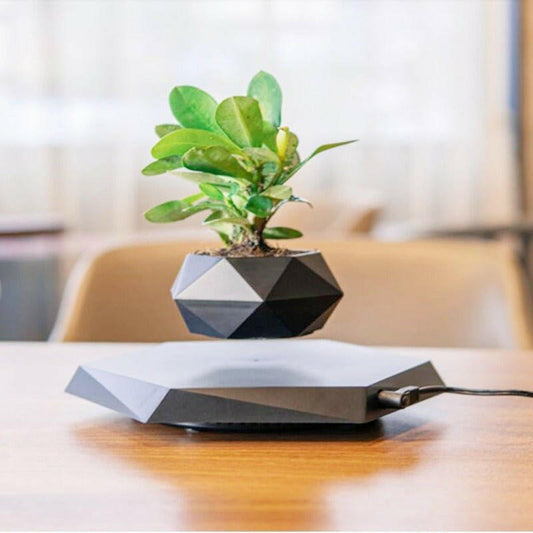 Floating Magnetic Levitating Flower Pot Bonsai Air Plant Pot Planter Potted For Home Office Desk Decor Creative Gift - H&K Trendy Treasures